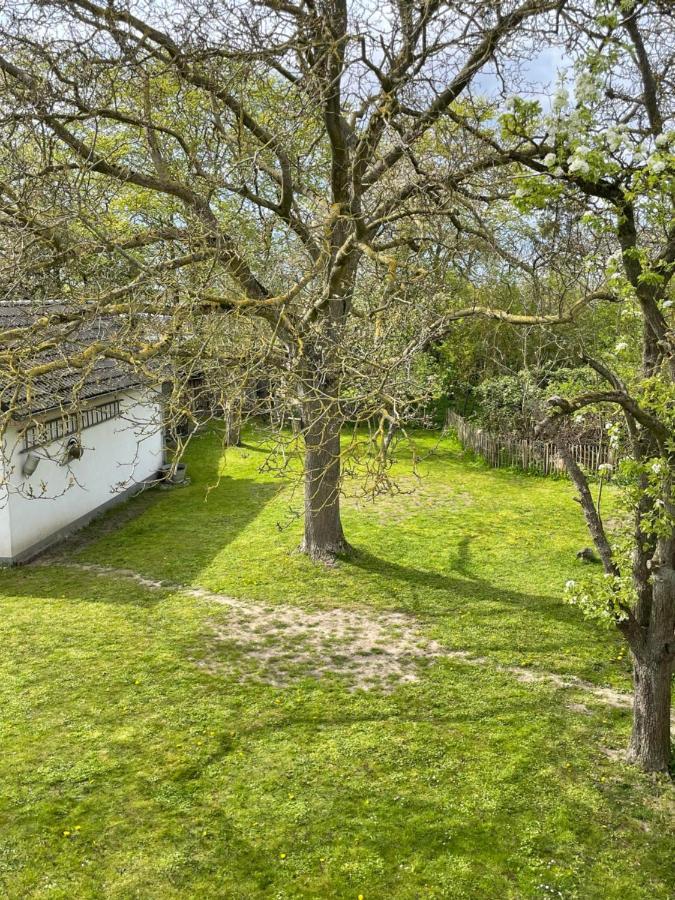 Kleines Haus Am Feld Villa Rehna Dış mekan fotoğraf