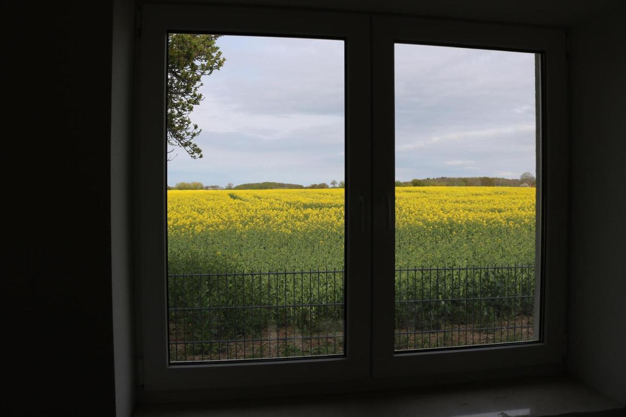 Kleines Haus Am Feld Villa Rehna Dış mekan fotoğraf