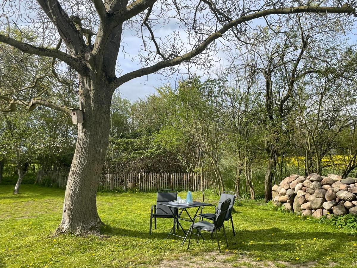 Kleines Haus Am Feld Villa Rehna Dış mekan fotoğraf