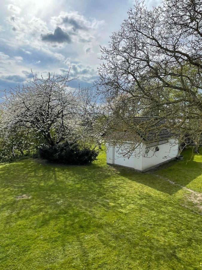 Kleines Haus Am Feld Villa Rehna Dış mekan fotoğraf