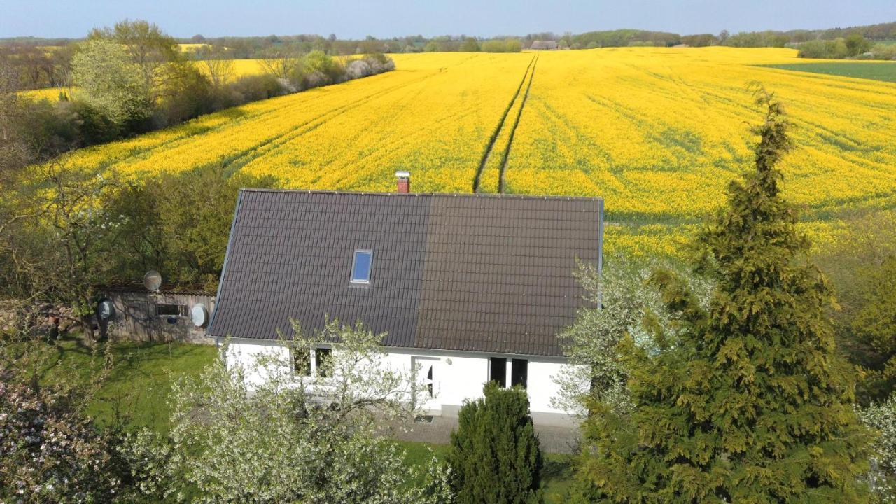 Kleines Haus Am Feld Villa Rehna Dış mekan fotoğraf